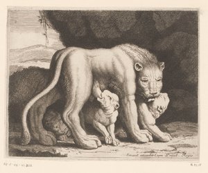 Suckling Lioness (Animal Series) by Charles II Errard (attributed to)