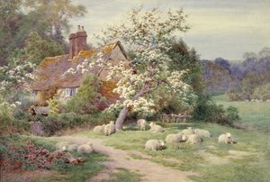 Sheep outside a Cottage in Springtime