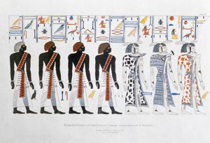 Hieroglyphics from the Tombs of the Kings at Thebes, discovered by G Belzoni