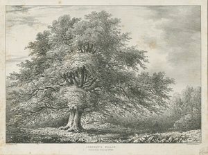 Lichfield - Dr. Johnson