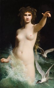 The Storm