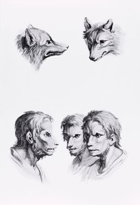 Similarities Between the Head of a Wolf and a Man, from 