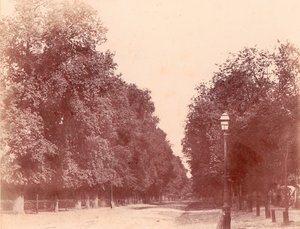 Tree-lined Avenue, 1850-53