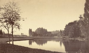 Bois de Boulogne by Charles Marville