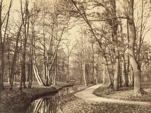 Bois de Boulogne, Paris by Charles Marville