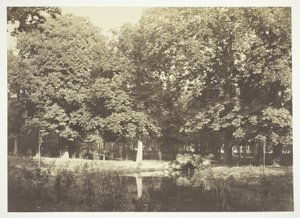 Untitled by Charles Marville