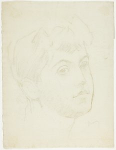 Portrait Head of a Young Woman