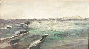 Porpoises Chasing Mackerel