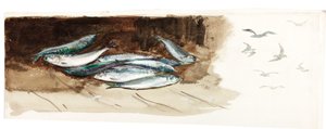 Study of Fish by Charles Napier Hemy