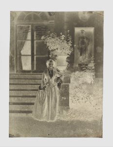 Portrait of a Woman, Possibly Mme Ernest Feydeau by Charles Nègre
