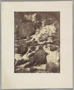 Trees and Waterfalls by Charles Nègre