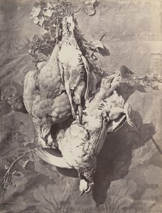 Still Life with Game Birds by Charles Nègre