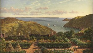 From my Window at Solva