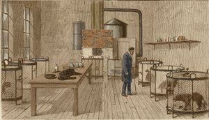 Dogs in Cages Inside Laboratory of Louis Pasteur by Charles Paul Renouard
