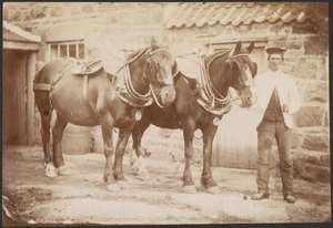 Man with Two Horses by Charles Reid