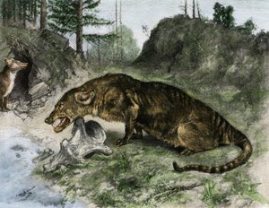 Prehistory: a mesonyx on the shores of Lake Uintah in Utah and Wyoming (USA)