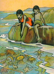 A Garden in the Sea