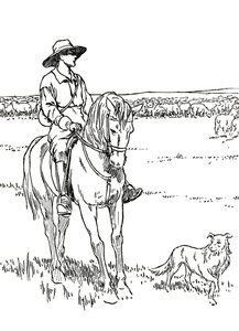 A Sheep-Station in Australia by Charles Robinson