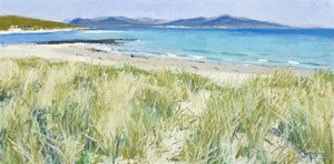 Beach Grasses, Berneray, 2011 by Charles Simpson