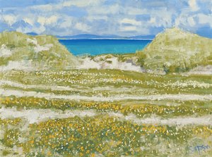 Glimpse of Harris, 2014 by Charles Simpson