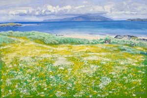 Machair, North End Iona, 2015
