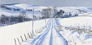 Snow, Newhall, 2010 by Charles Simpson