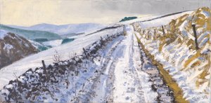 Track to Clovenfords, 2017 by Charles Simpson