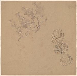 Study for a Border Design with a Sketch of a Tree by Charles Sprague Pearce