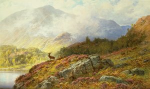 Deer in a Highland Landscape