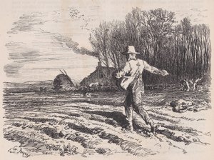 Scattering Seed, from Le Magasin Pittoresque