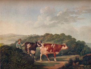 English Landscape, with Shorthorned Cattle