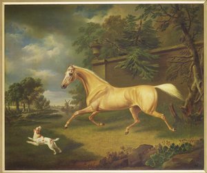 Unknown Image