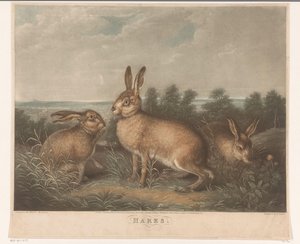 Three Hares