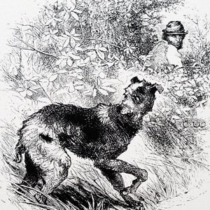 A poacher with his lurcher by Charles Whymper