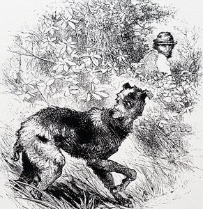 A Poacher with His Lurcher by Charles Whymper