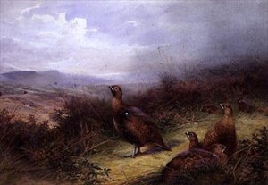 Grouse in the Highlands by Charles Whymper