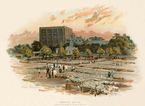 Norwich Castle