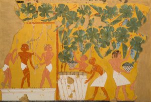 Winemaking, Tomb of Ipuy