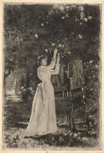 A Young Woman Picking Blossoms from a Tree