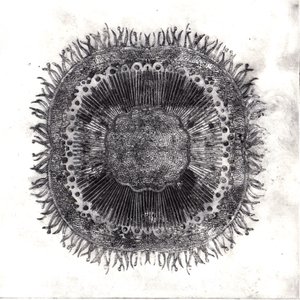 Plant Cells, 2019