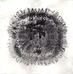 Plant Cells, 2019
