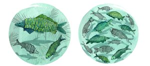 Small Fish Big Pond, 2018