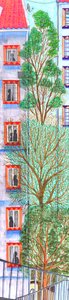 Three trees by Charlotte Orr