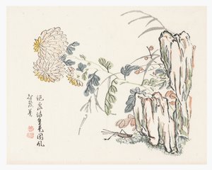 Chrysanthemum, Mustard Seed Garden Manual