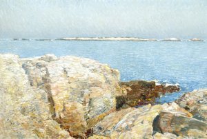 Duck Island
