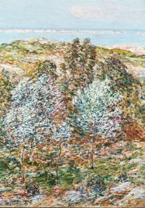 Springtime Vision by Childe Frederick Hassam