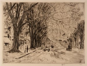 Easthampton Elms in May