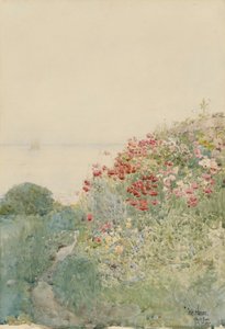 Field of Poppies, Isles of Shoals