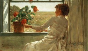 Summer Evening