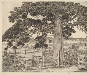 The Big Cedar by Childe Hassam